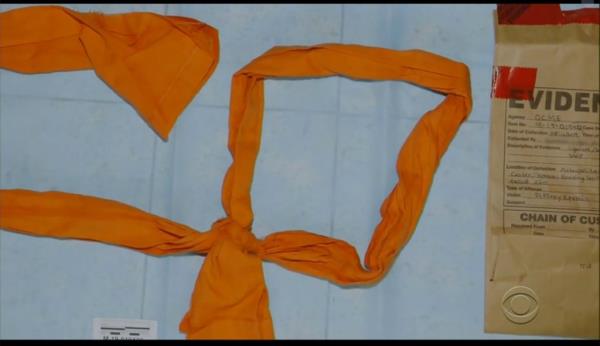 A noose found in Epstein's cell.