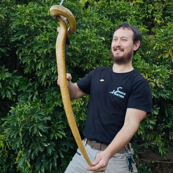 Mark Pelley, ba<em></em>sed in Melbourne, holding a 5-foot snake