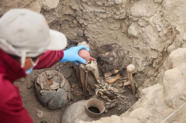 A worker uncovers a mummy belo<em></em>nging to the pre-Inca Ychsma culture in Lima, Peru