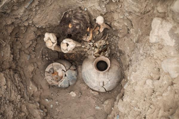 The adult mummy was found in a seated position with its knees bent alo<em></em>ngside ceramic jars and textiles