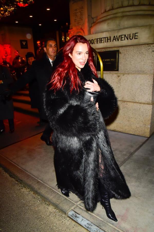Dua Lipa wore a voluptuous fur coat back in November. 