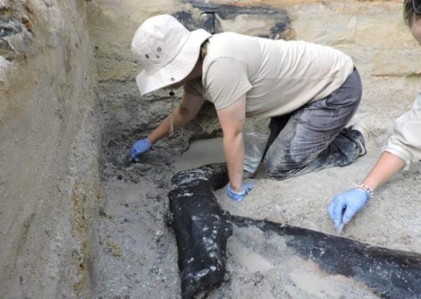 The structure could have been a platform, or possibly a dwelling