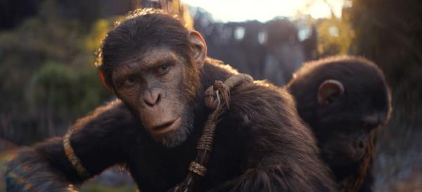 Kingdom of the Planet of the Ape