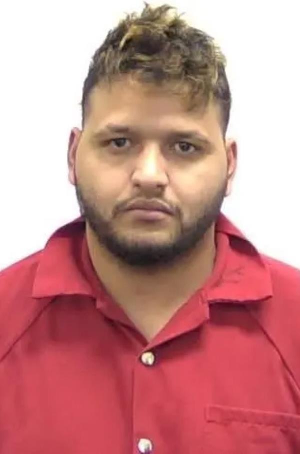 Jose Ibarra's mugshot