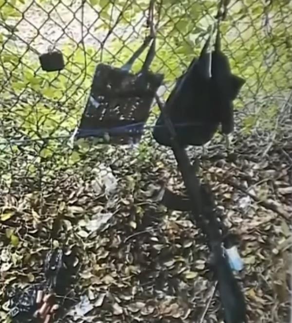 The alleged suspect's packs, rifle and GoPro are seen in a photo provided by law enforcement. 