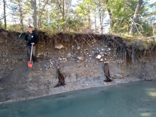 The trees were also found embedded in the river banks