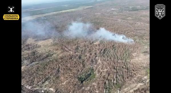 Aerial footage shows a plume of smoke rising from the forest in the Luhansk region following the drone strike