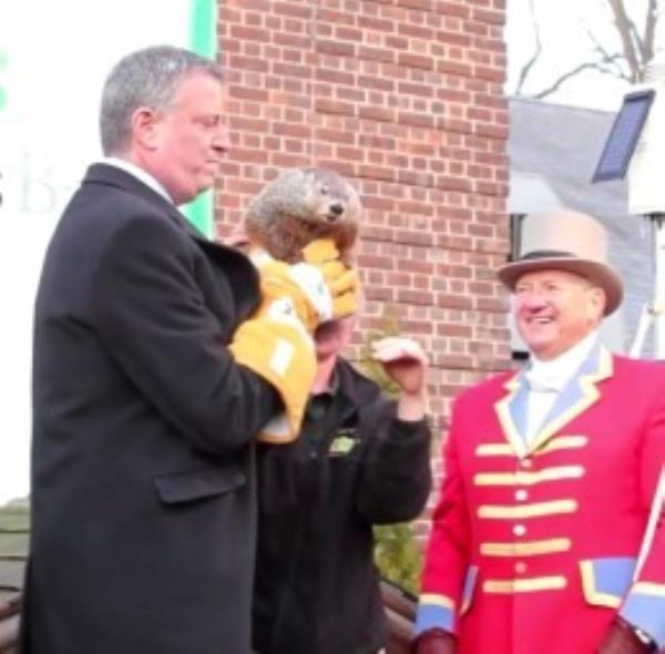 Mayor Bill de Blasio drops a groundhog as a zookeeper reacts with shock.