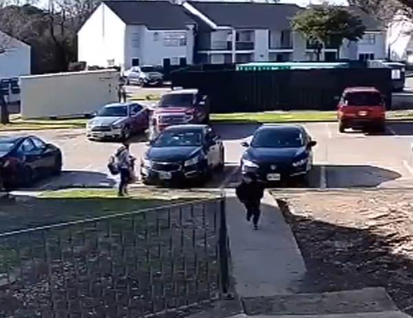 Surveillance image of woman a<em></em>bout to be attacked by dog