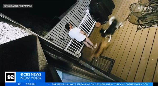 Joseph Damian is pictured peering into the dark for his barking dogs the night of May 15.