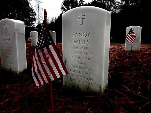 Veterans Day story with Cheryl Wills