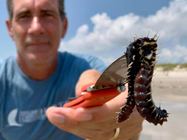 Jace Tunnell holding up a fireworm he caught.