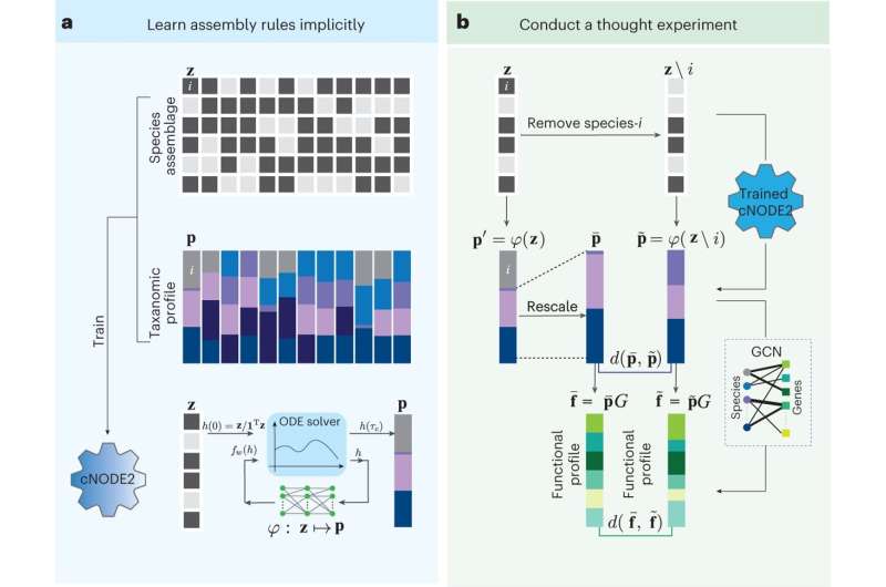 Study proposes new f<em></em>ramework to identify keystone microbial species