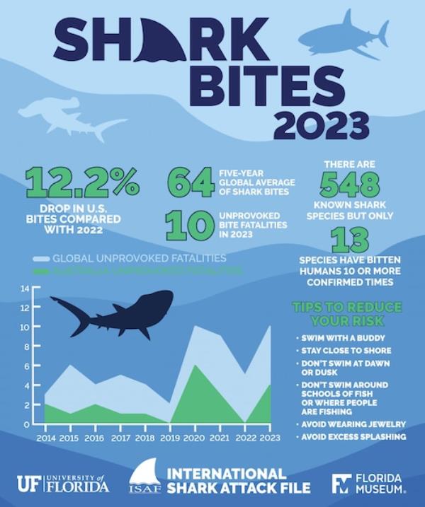 Shark attack data 2023
